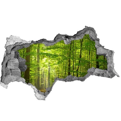 Hole in the wall decal Green forest in the sunlight