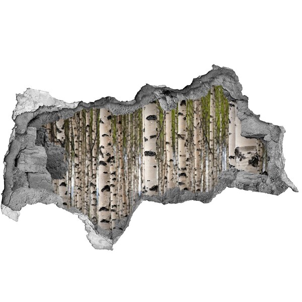 Hole in the wall decal Birch forest behind the wall