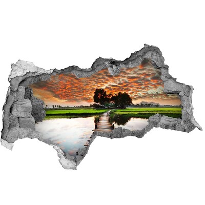 Hole in the wall sticker Sunset over the pond