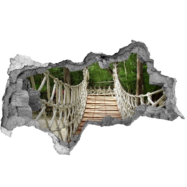 Hole in the wall sticker Rope bridge