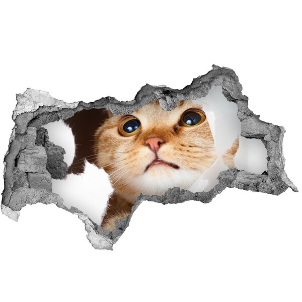 Hole in the wall decal Cat through a hole in the wall