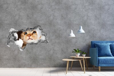 Hole in the wall decal Cat through a hole in the wall