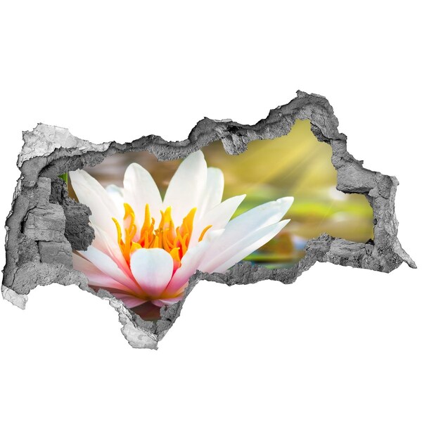 Hole wall sticker water lily