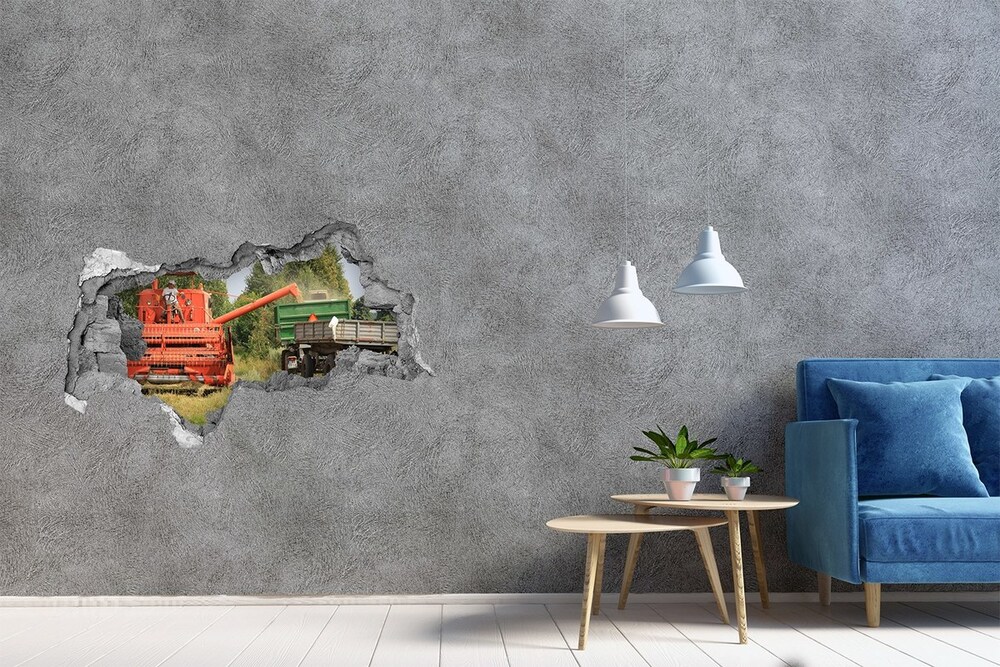 Hole in the wall decal Combine