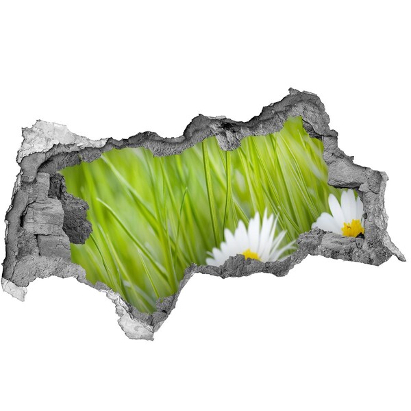 Hole wall sticker A flower in a green garden