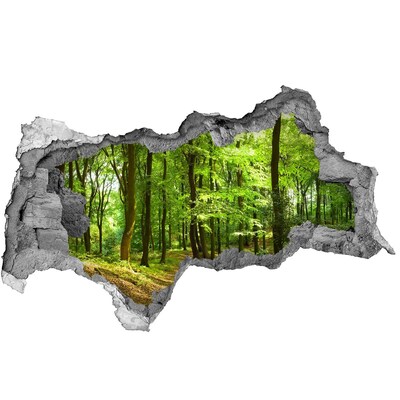 Hole in the wall sticker Green forest in the sun's rays