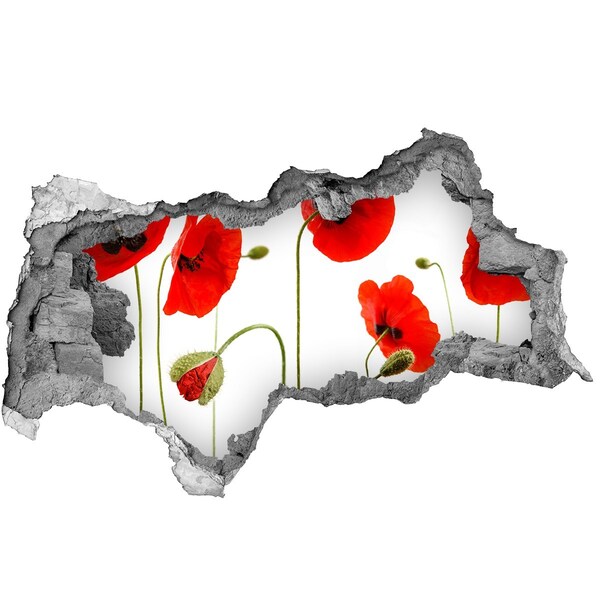 Hole in the wall sticker Poppy flowers in a hole in the wall
