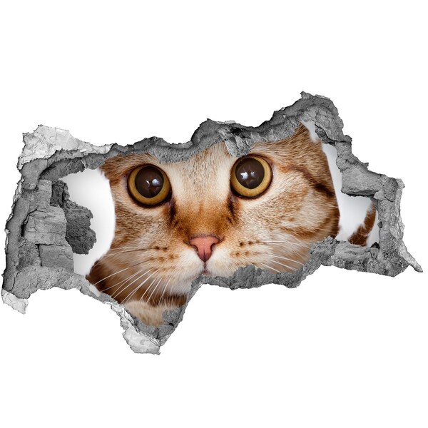 Hole in the wall sticker Cat