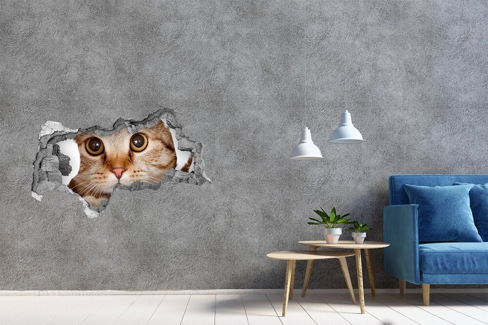 Hole in the wall sticker Cat