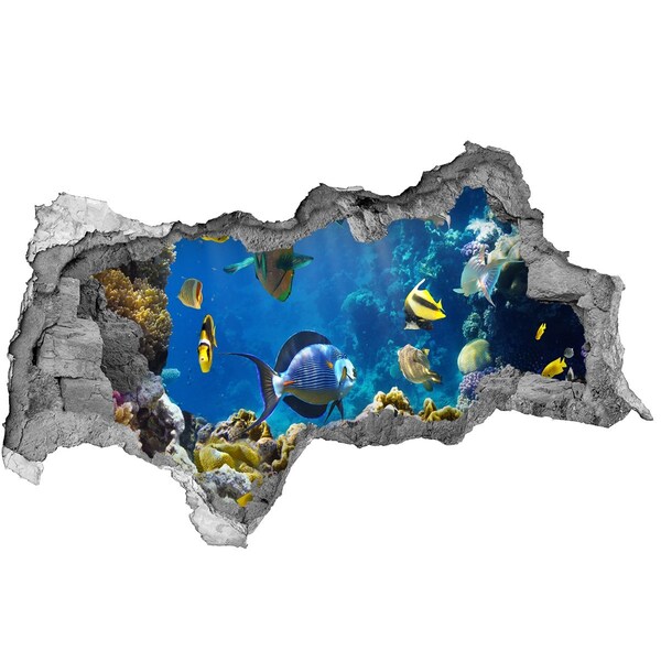 Hole in the wall sticker The underwater world of the coral reef
