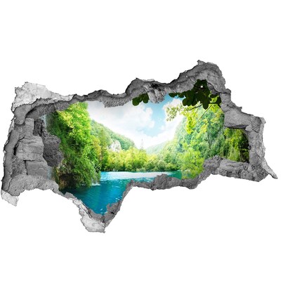 Hole wall sticker Green valley with a lake