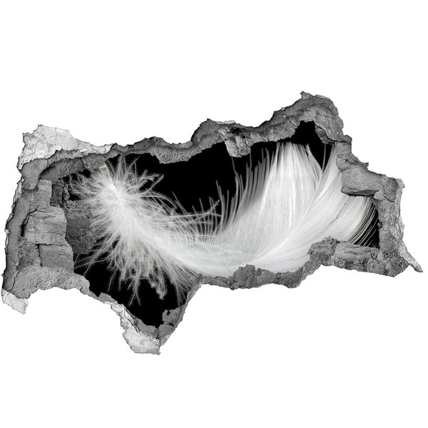 Hole in the wall decal A feather in a hole in the wall