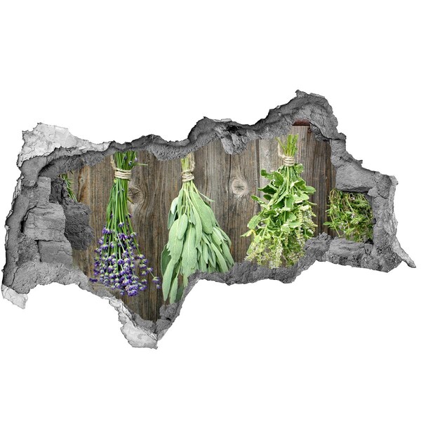 Hole wall sticker Herbs on a string