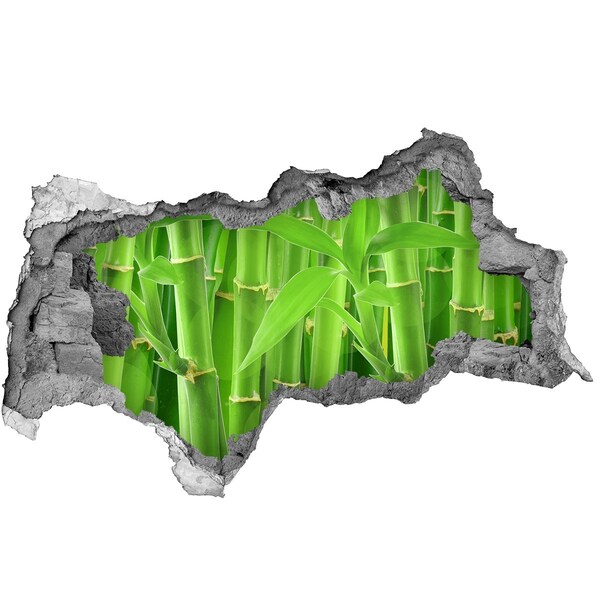 Hole wall sticker Green bamboo forest