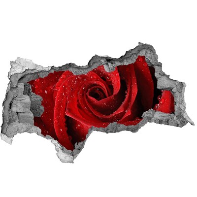 Hole wall sticker Flower in concrete