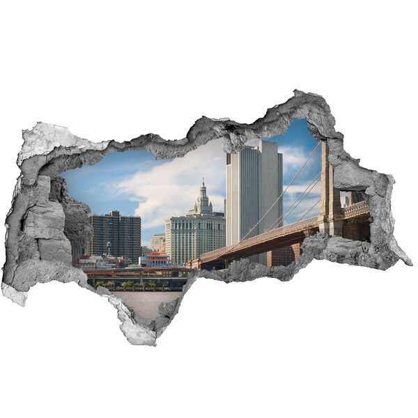 Hole in the wall sticker View of New York