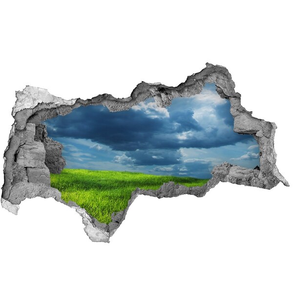 Hole wall sticker Green meadow under the clouds