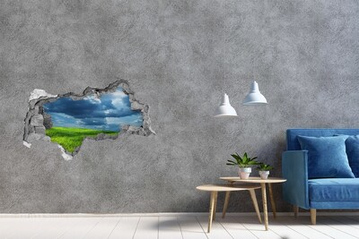 Hole wall sticker Green meadow under the clouds