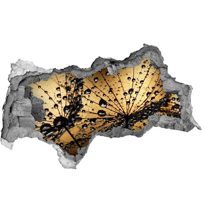 Hole in the wall sticker Drops on the leaves