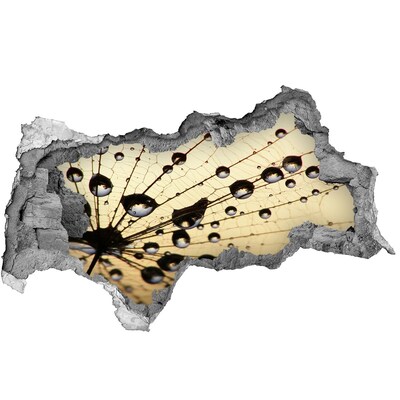 Hole wall sticker Water drops on a butterfly wing