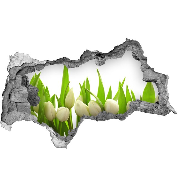 Hole in the wall sticker Flowers in the garden