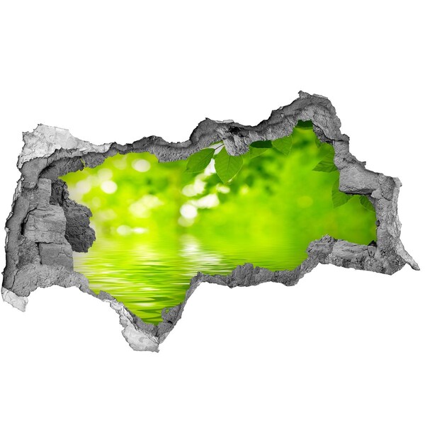 Hole wall sticker Green oasis with water