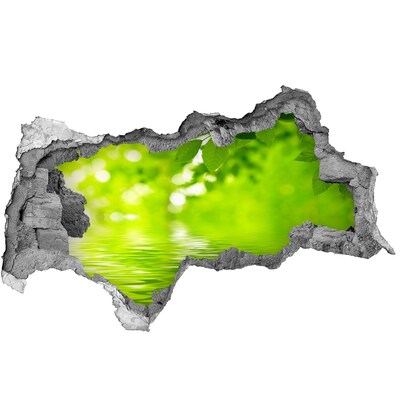 Hole wall sticker Green oasis with water