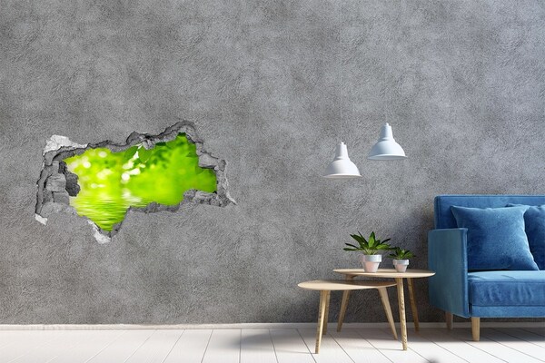 Hole wall sticker Green oasis with water