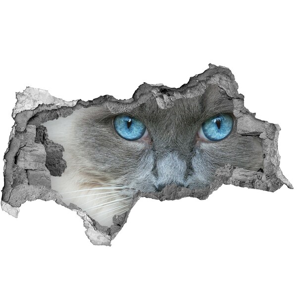 Hole in the wall sticker Cat in a hole in the wall