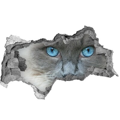 Hole in the wall sticker Cat in a hole in the wall