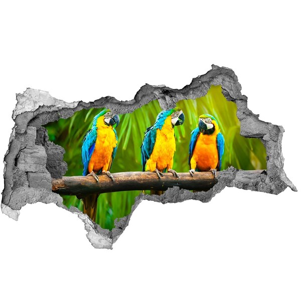 Hole in the wall decal Tropical parrots in the jungle