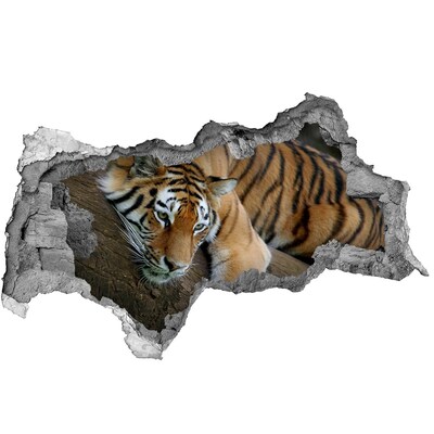 Hole wall sticker Tiger in its natural habitat