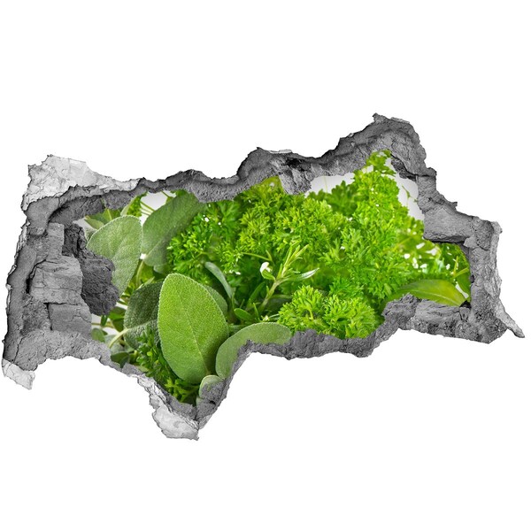 Hole in the wall sticker A green oasis in concrete