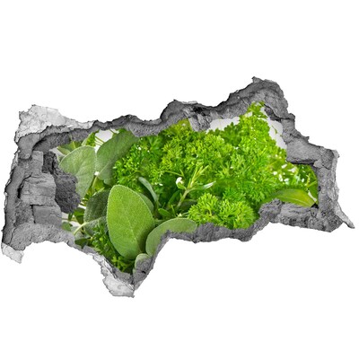 Hole in the wall sticker A green oasis in concrete