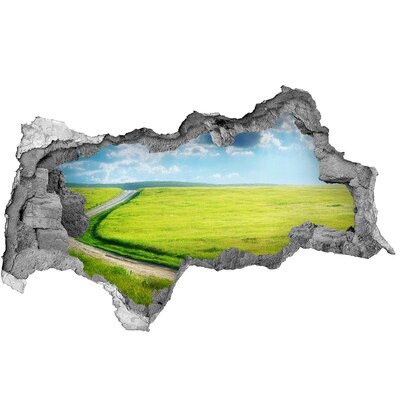 Hole wall sticker Green meadow with sky
