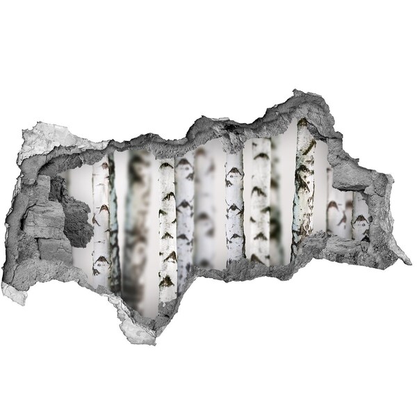 Hole wall sticker Forest oasis behind the wall