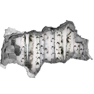 Hole wall sticker Forest oasis behind the wall