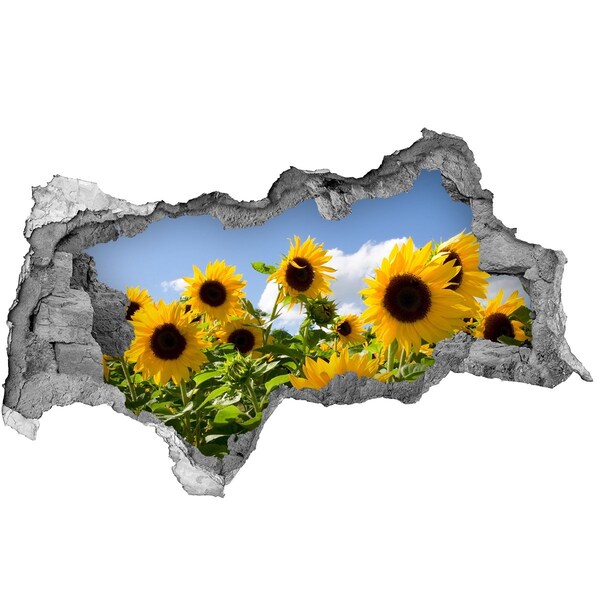Hole wall sticker Sunflowers in the daylight