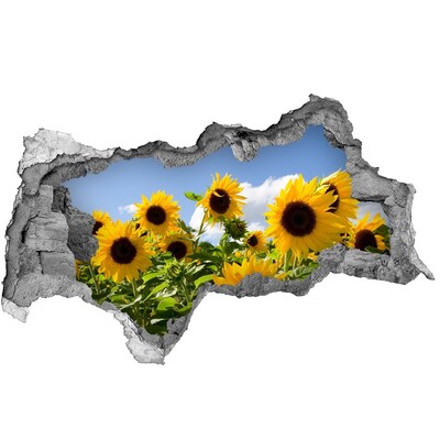 Hole wall sticker Sunflowers in the daylight