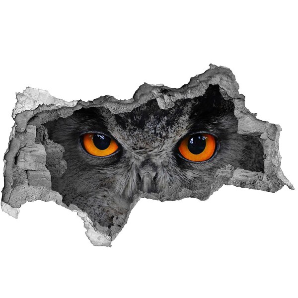 Hole wall sticker Owl in a Hole in the Wall
