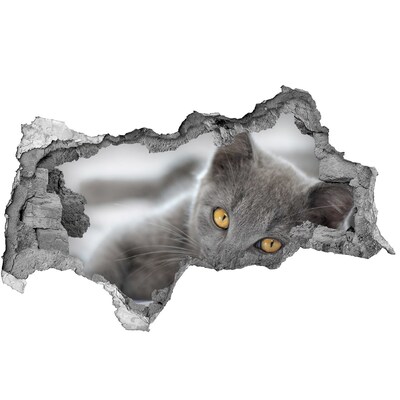 Hole wall sticker Gray cat in a hole in the wall