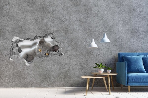 Hole wall sticker Gray cat in a hole in the wall