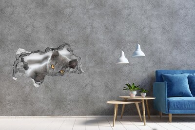 Hole wall sticker Gray cat in a hole in the wall