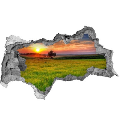 Hole in the wall sticker Sunset over the meadow