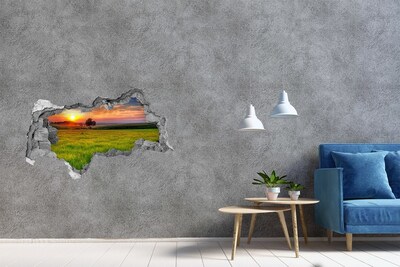 Hole in the wall sticker Sunset over the meadow
