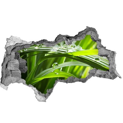 Hole in the wall sticker Green meadow with drops of water