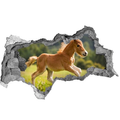Hole in the wall sticker A foal in the meadow