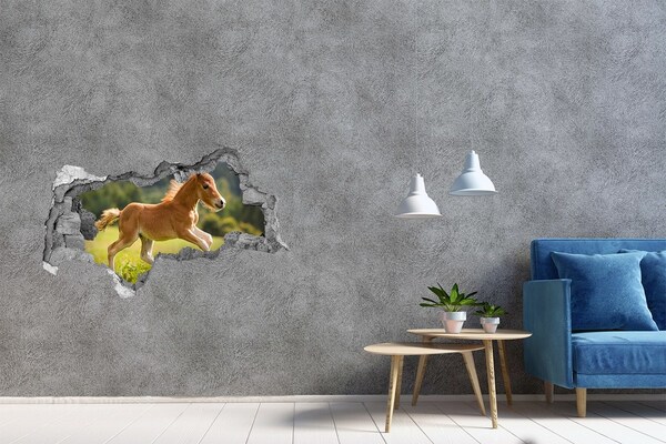 Hole in the wall sticker A foal in the meadow