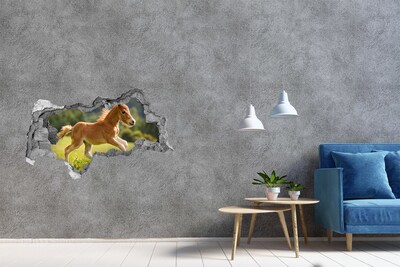 Hole in the wall sticker A foal in the meadow