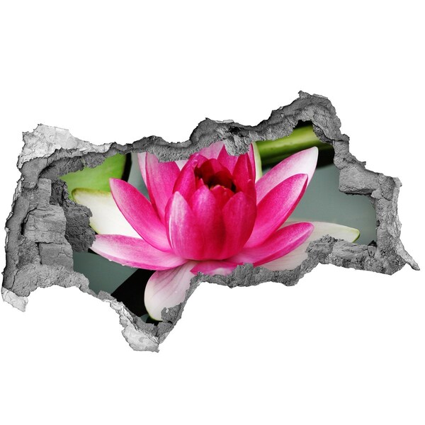 Hole in the wall sticker Lotus flower in a hole in the wall